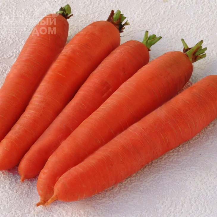 Цидера / Cidera,145-155 дней фото 1