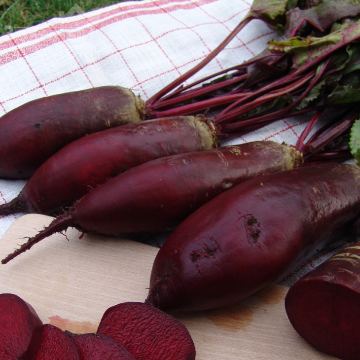 Ренова / Renova, 125-130 днів фото 1