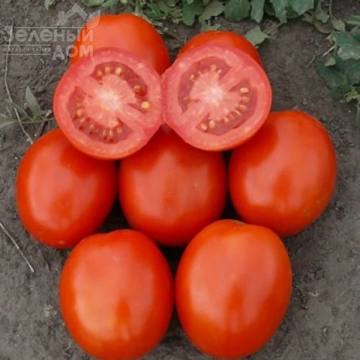 1807 F1 / 1807 F1,110 дней фото 1