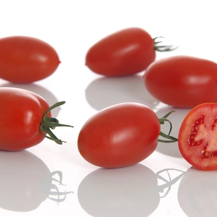 Океано F1 / Okeano F1 фото 1