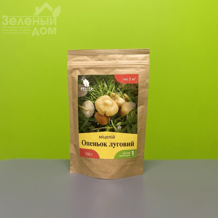 Опеньок луговий фото 1