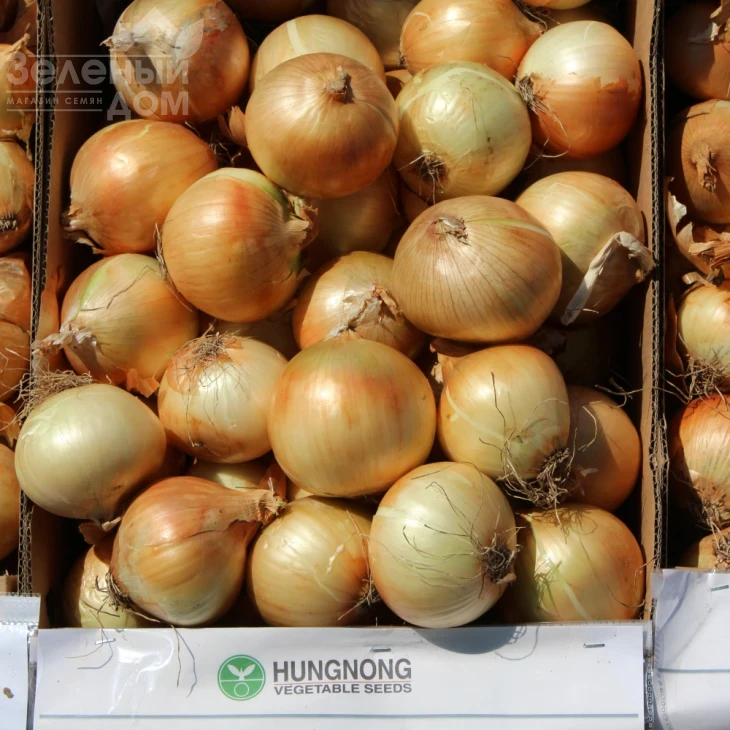 Чаирмэн F1 / Chairman F1 фото 3