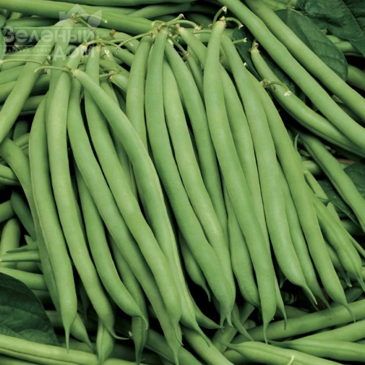 Серенгети / Serenheti фото 1