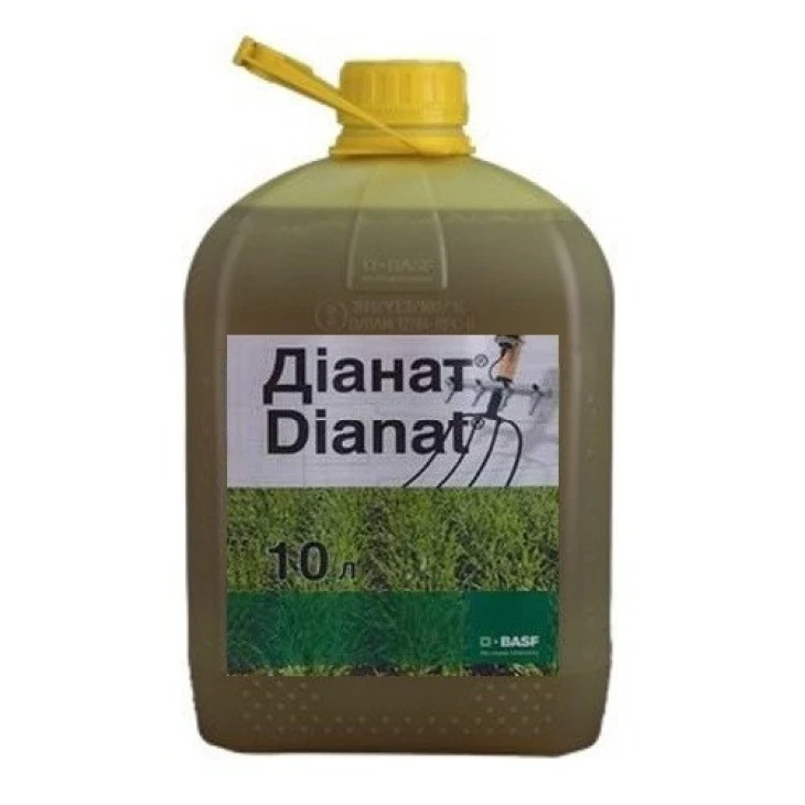 Діанат / Dianat, ВРК фото 1