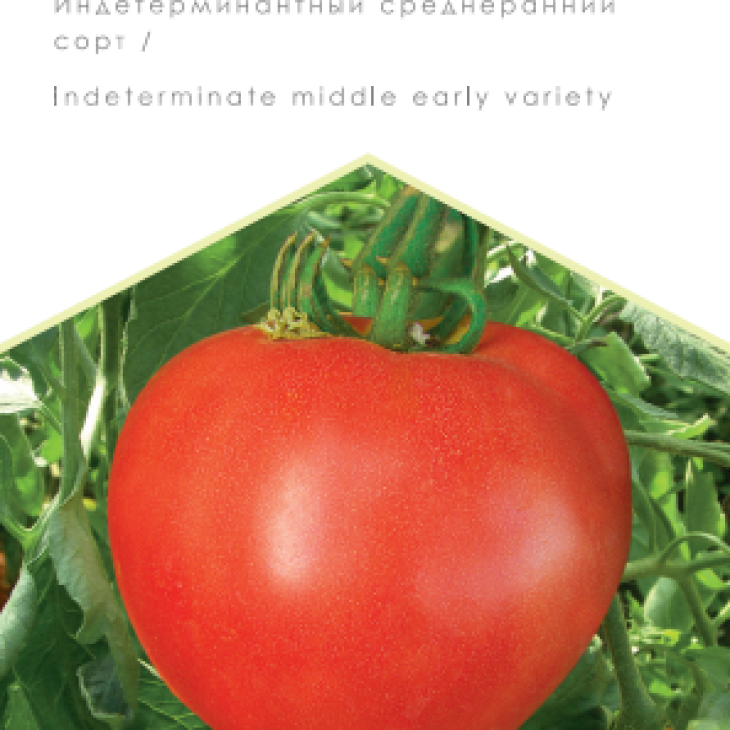 Волосе серце червоне / Bych'ye serdtse krasnoye, 100-105 днів фото 1