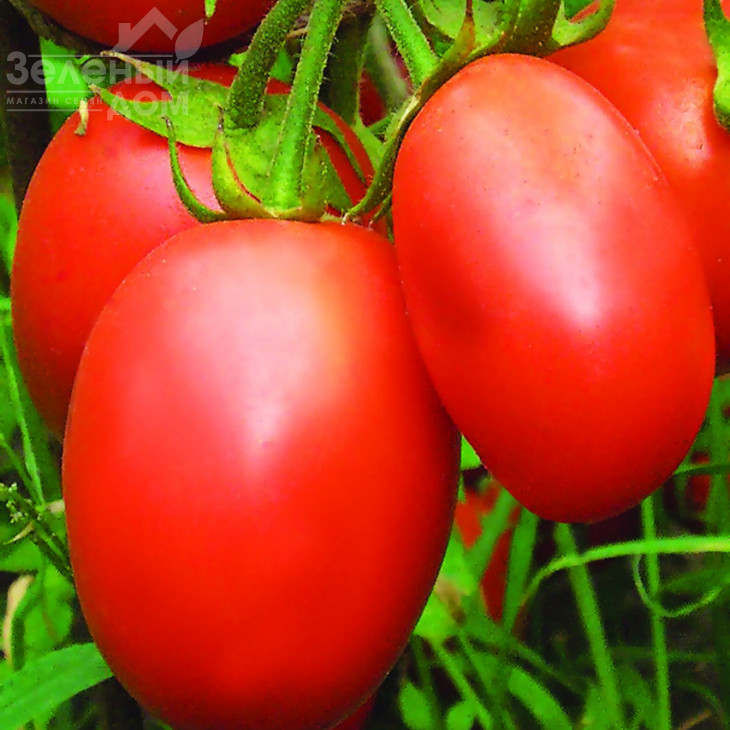 Переможець / Pobeditel фото 1