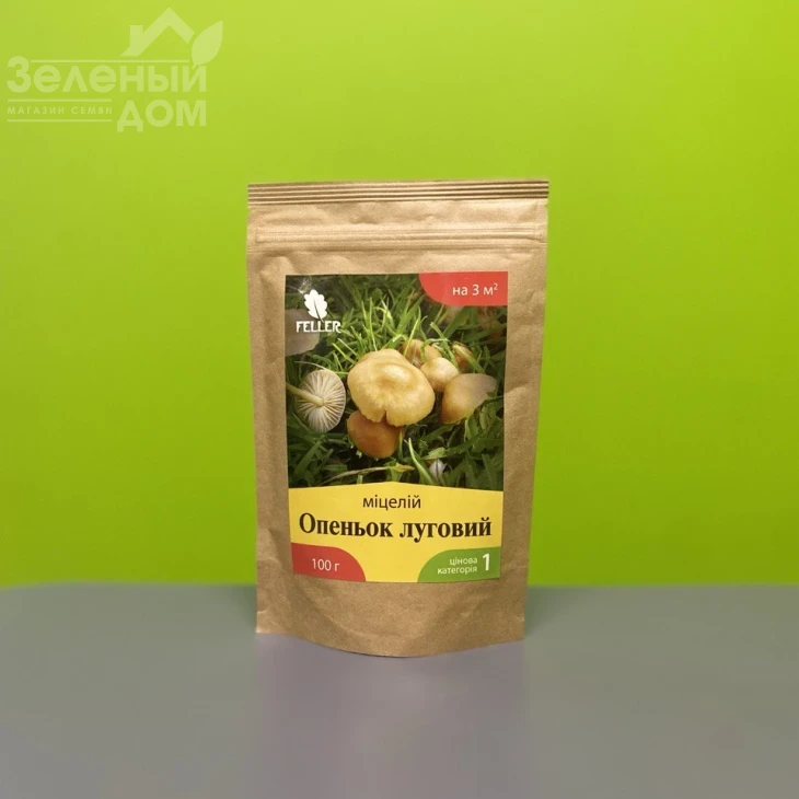 Опёнок луговой фото 1