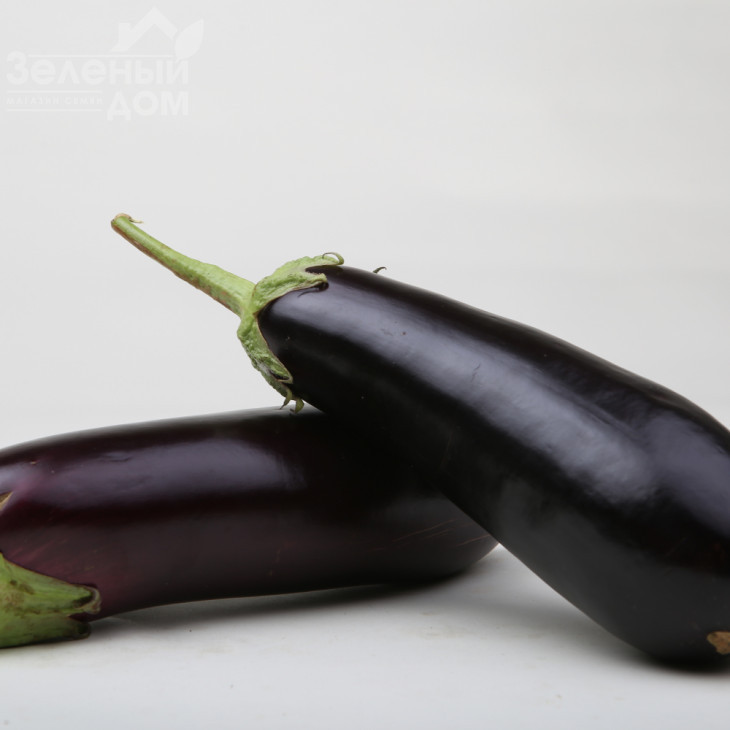 Моріс F1 (LS 1322) / Moris F1 (LS 1322),83-87 днів фото 3