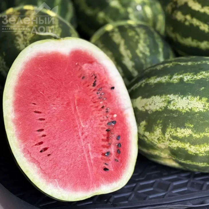 Атакан F1 / Atakan F1 фото 1