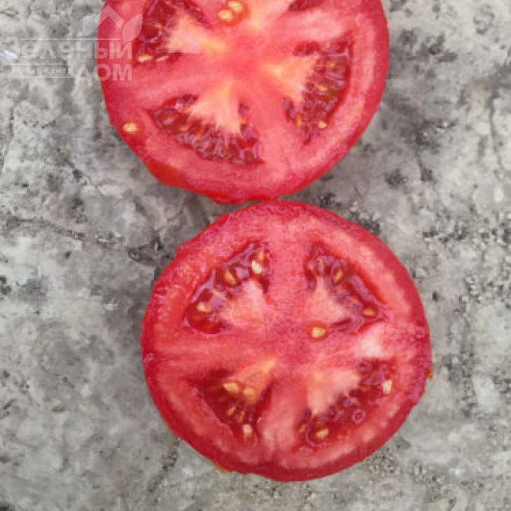 1606 F1 / 1606 F1,95 дней фото 3