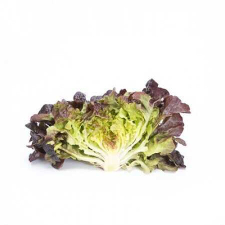 Сатурдай / Saturdaj фото 2