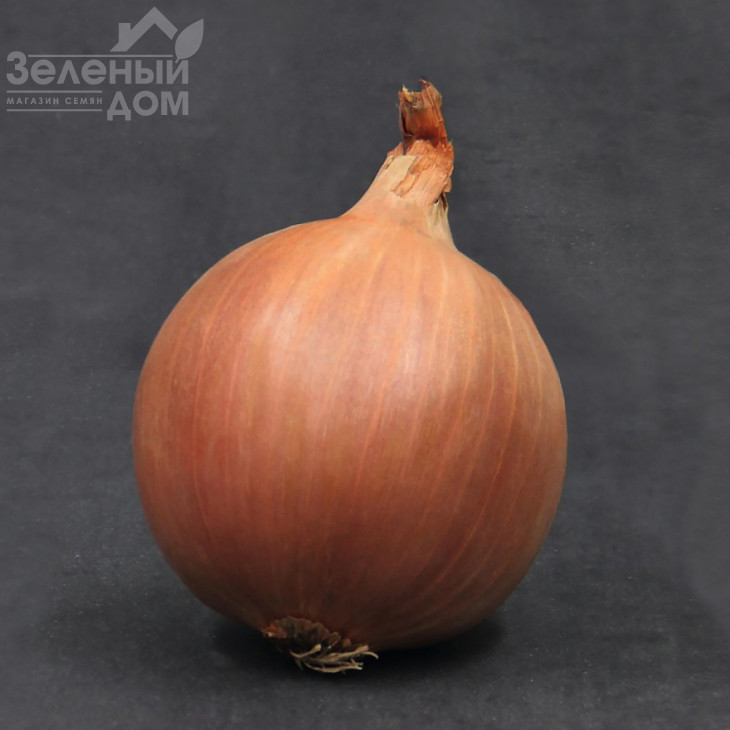 Шерман F1 / Sherman F1,95-100 днів фото 1