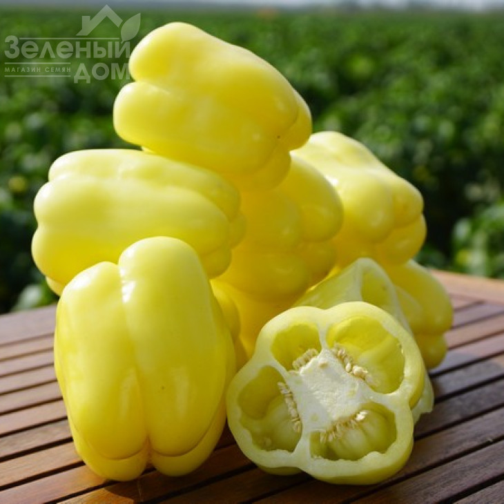 Нікіта F1 / Nikita F1,70 днів фото 1