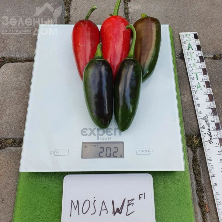 Моджаве F1 / Modzhave F1 фото 2