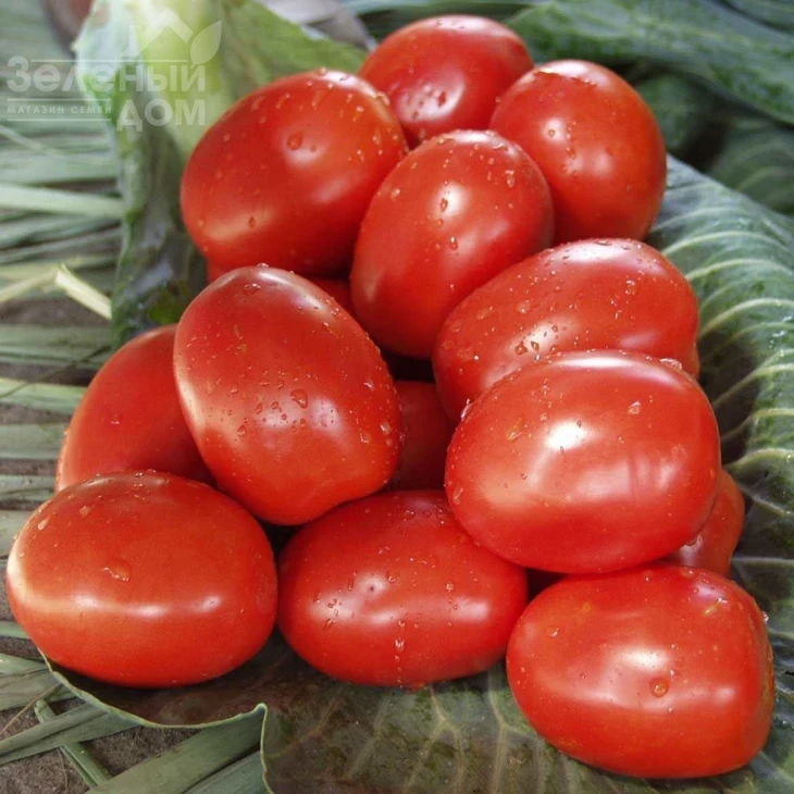 Рио Гранде / Rio Grande,100-110 дней (SEMO) фото 1