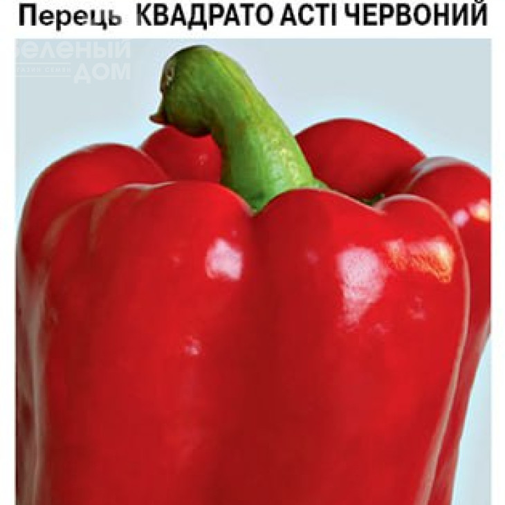 Квадрато Асті червоний / Kvadrato Asti, 95 днів фото 1