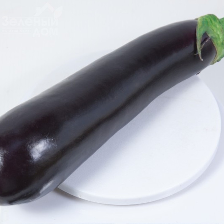 КС 4804 F1 / KS 4804 F1,90-100 днів фото 1