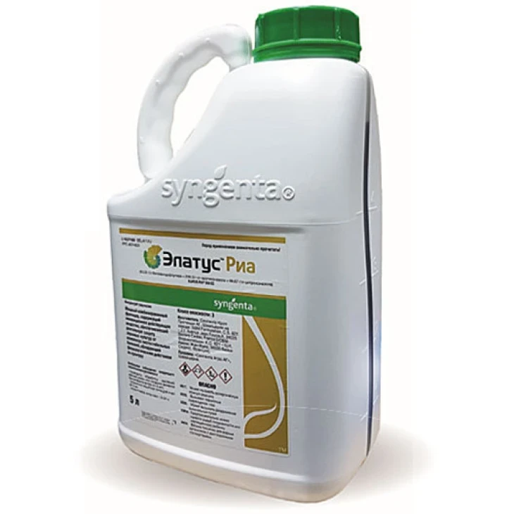 Элатус Риа 358 EC / Elatus Ria 358 EC фото 1