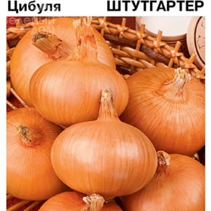 Штутгартер / Shtutharter, 110–120 дней фото 3