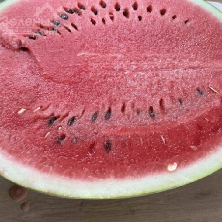 Лимпопо F1 / Limpopo F1, 72 дня фото 2