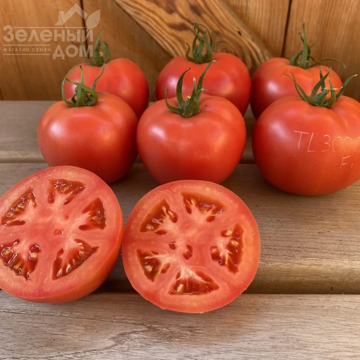 ТЛ 30002 F1 / TL 30002 F1, 60-65 дней фото 4