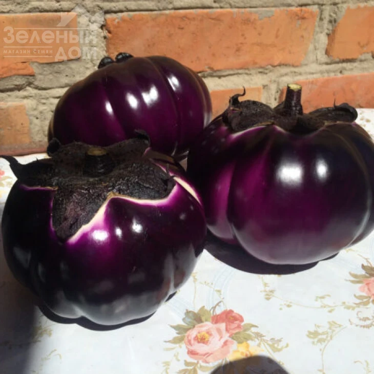 Джаз F1 / Dzhaz F1, 70 дней фото 2