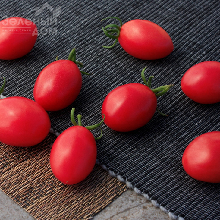 Розестар F1 / Rozestar F1 фото 1