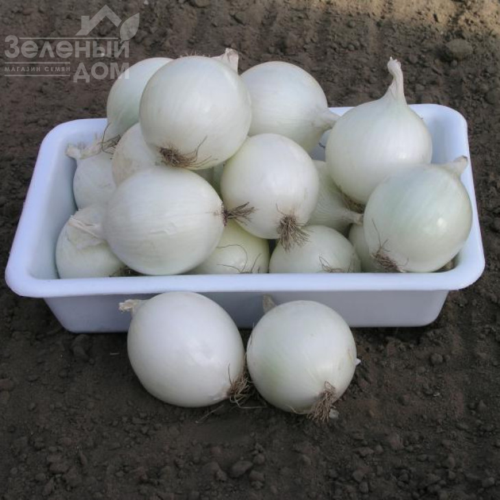 Комета F1 / Cometa F1,115-120 днів фото 1