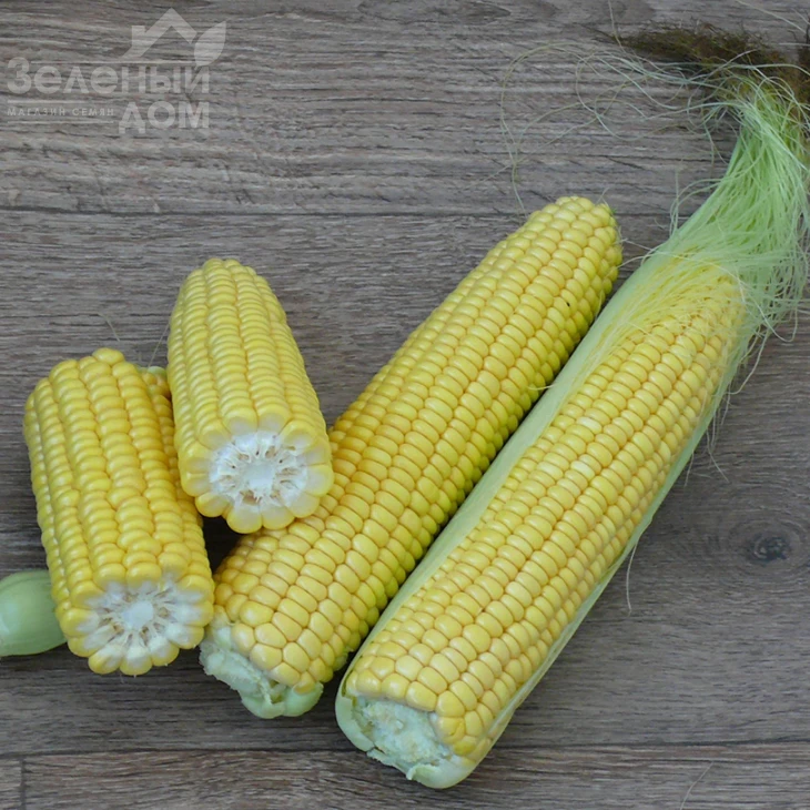 1708 F1 / 1708 F1,78 дней фото 1