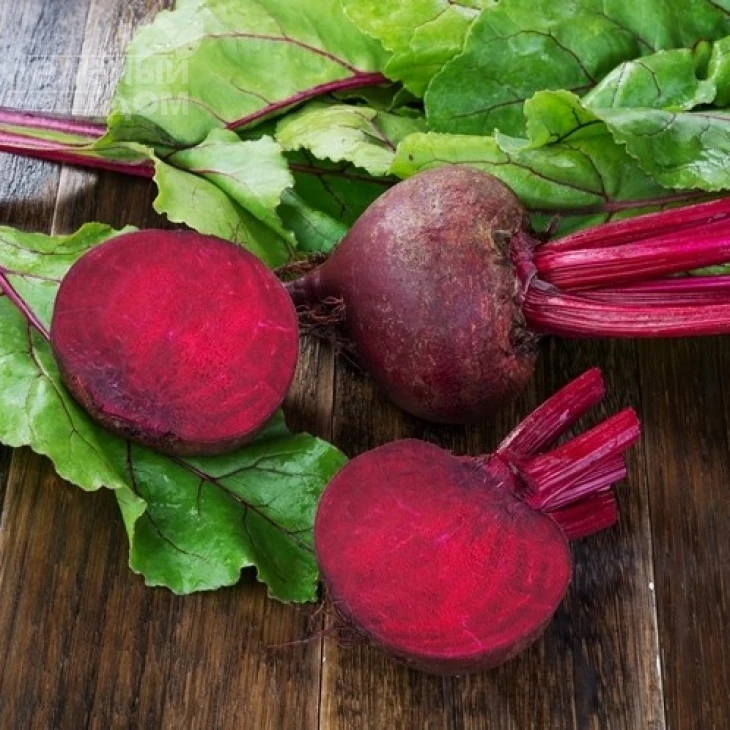 Бетина / Betina,120 дней фото 1