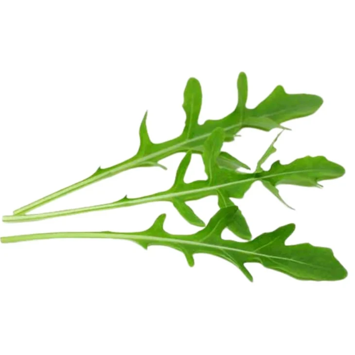 Етти F1 / Etty F1 фото 1