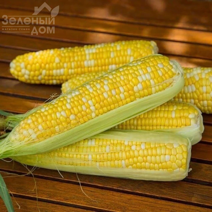 Биколор F1 / Bikolor F1, 74-76 дней фото 1