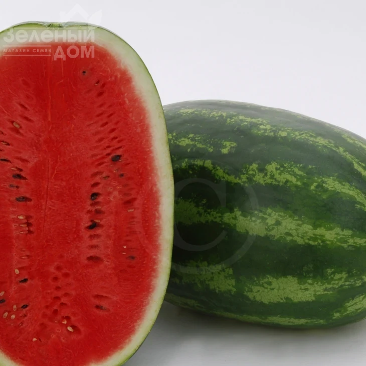 Паладин F1 / Paladin F1,70-75 дней фото 1