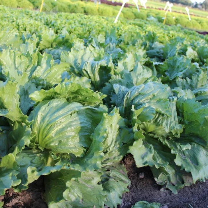 Эдуардо / Eduardo фото 2