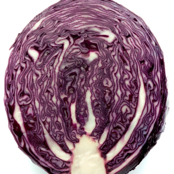 Футурима F1 / Futurima F1, 125-140 дней фото 2