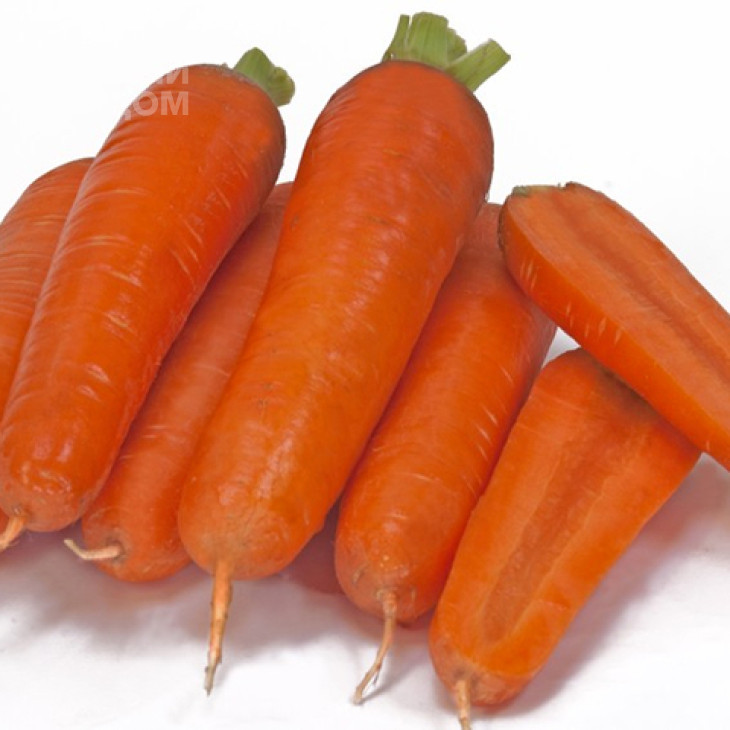 Кораліна (ТІ - 134) F1  / TI - 134 F1 (Coralina) фото 1