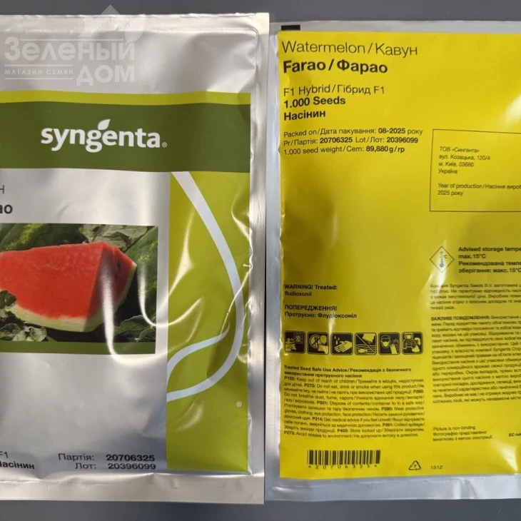 Фарао F1 / Farao F1,62-64 дня фото 3