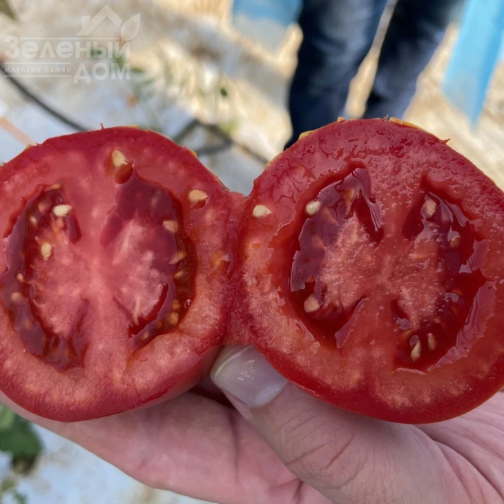 Бильбао F1 / Bilbao F1 фото 4