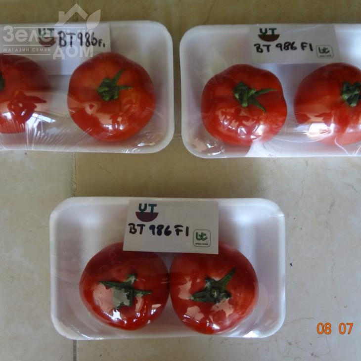 БТ 986 F1 / BT 986 F1,65-70 днів фото 2