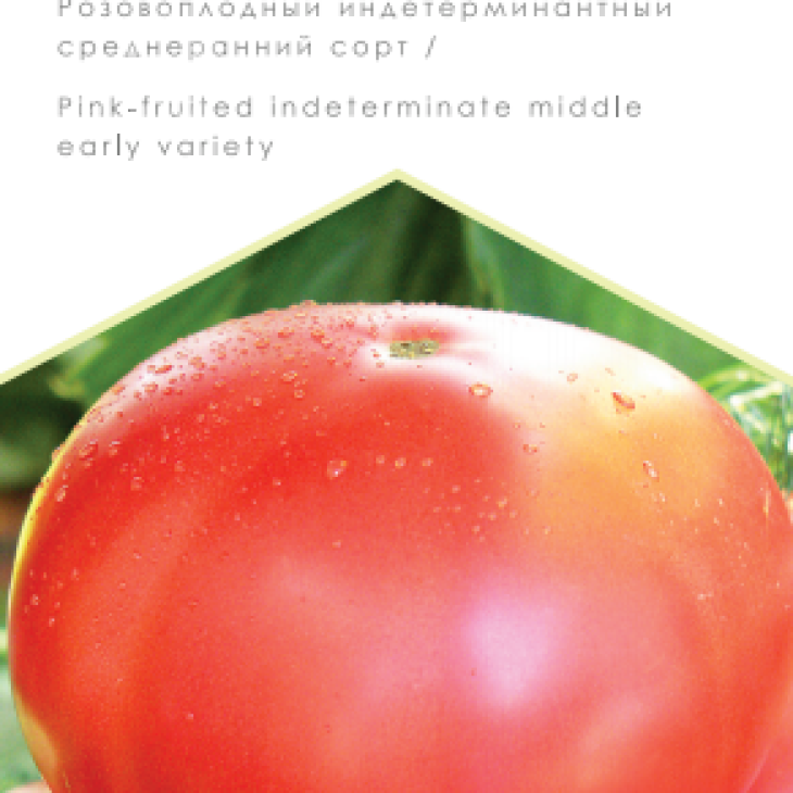 Дика роза / Dikaya roza, 107-110 днів фото 1