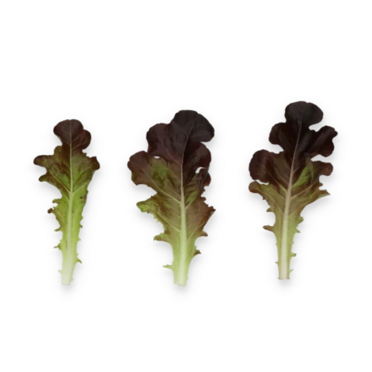 Боттас / Bottas фото 3