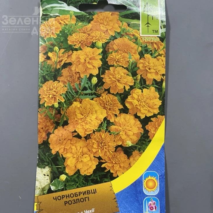 Бархатцы раскидистые Оранжевые фото 1