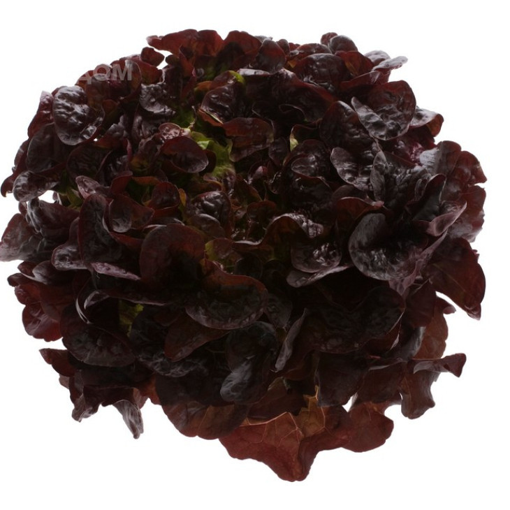 Руксай / Rouxai фото 1