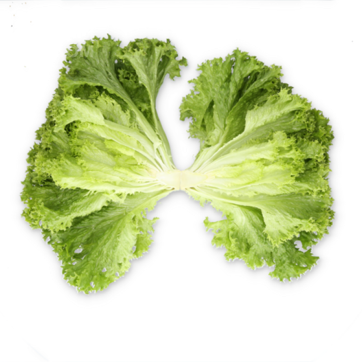 Ліадін / Liadine фото 2