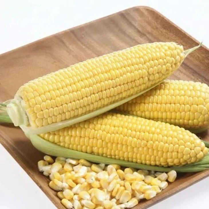 Карамелло F1 / Caramello F1,59-65 дней фото 3