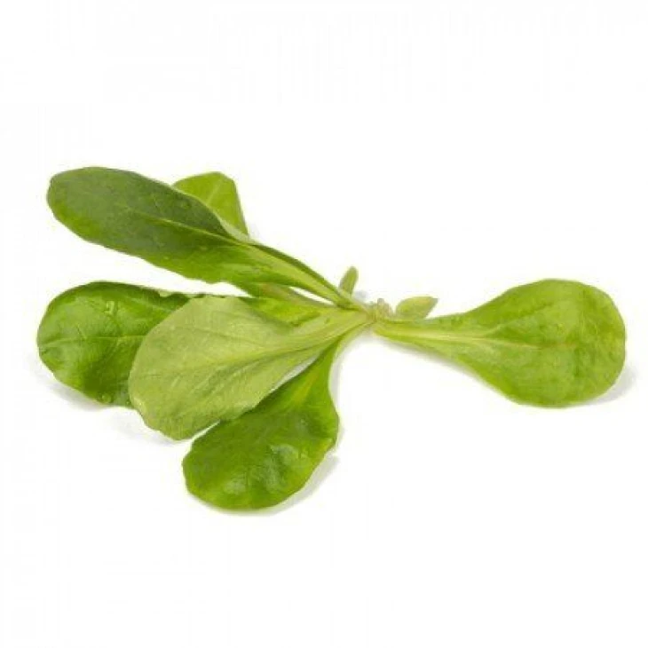 Диона / Dione фото 2