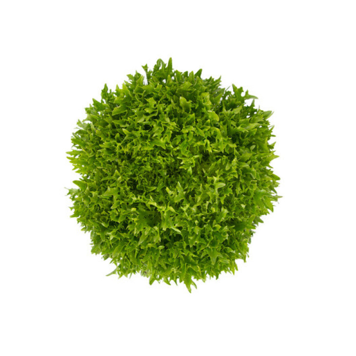 Екзем / Exam фото 3