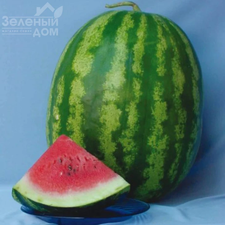 Ау Продюсер / Au Producer (Lark Seeds), 80-85 дней фото 1