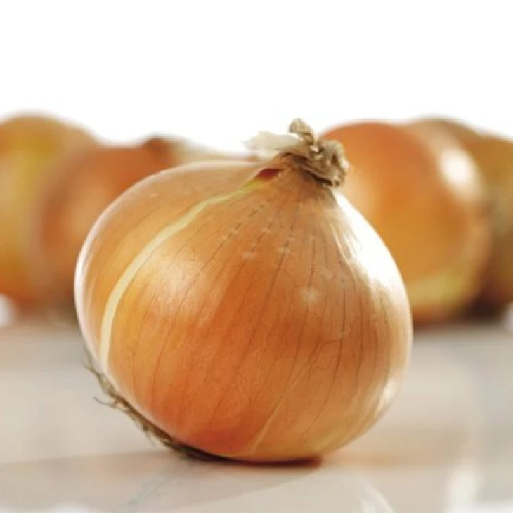 Дагмар / Dagmar,110-120 дней фото 1