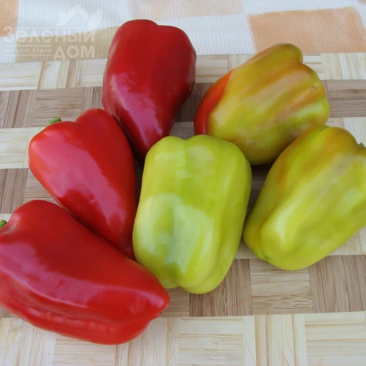 Ева / Eva фото 1